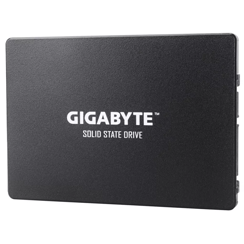 GIGABYTE GP-GSTFS31100TNTD vidinis kietasis diskas 1 TB 2,5 colio SATA