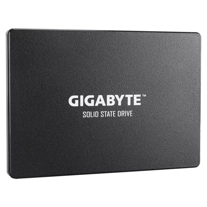 GIGABYTE GP-GSTFS31100TNTD vidinis kietasis diskas 1 TB 2,5 colio SATA