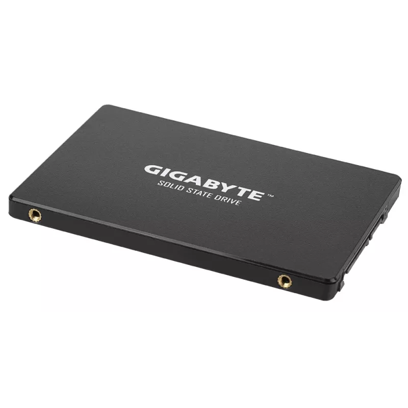 GIGABYTE GP-GSTFS31100TNTD vidinis kietasis diskas 1 TB 2,5 colio SATA