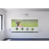 Epson EB-1485Fi itin trumpo fokusavimo projektorius 5000 ANSI liumenų 3LCD 1080p (1920x1080) Baltas