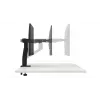 DELL Vieno monitoriaus rankena MSA20, 10 kg, 48,3 cm (19 col.), 96,5 cm (38 col.), aukščio reguliavimas, juoda