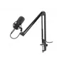 GENESIS Radium 300 XLR Studio mikrofonas, juodas