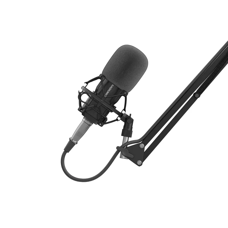 GENESIS Radium 300 XLR Studio mikrofonas, juodas