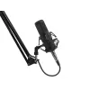 GENESIS Radium 300 XLR Studio mikrofonas, juodas