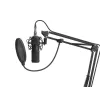 GENESIS Radium 300 XLR Studio mikrofonas, juodas