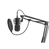GENESIS Radium 300 XLR Studio mikrofonas, juodas