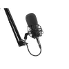 GENESIS Radium 300 XLR Studio mikrofonas, juodas