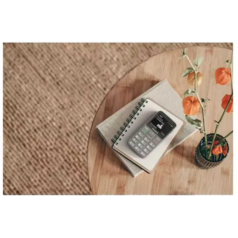 Mobilusis telefonas Panasonic KX-TU160 2,4 colio