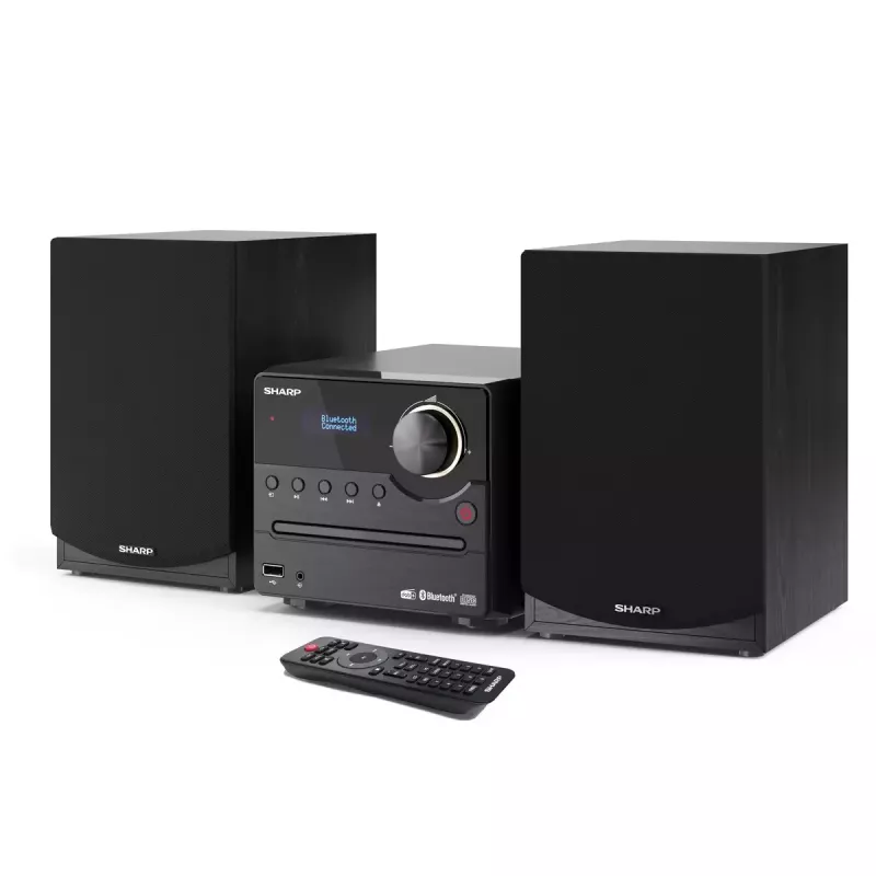 Sharp XL-B517D mikro sistema namų garso 45 W juoda