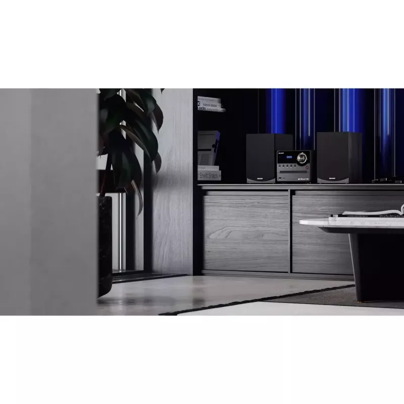 Sharp XL-B517D mikro sistema namų garso 45 W juoda