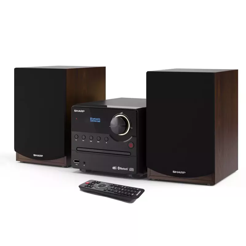 Sharp XL-B517D namų garso mikro sistema 45 W Ruda
