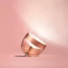 Philips Hue Iris vario specialus leidimas – protinga stalinė lempa su 1 lempute, Bluetooth ir Zigbee, 100–240V, 2 m laidas