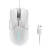 Lenovo GY51H47351 žaidimų pelė, dešinei rankai, USB Type-A, optinė, 8000 DPI