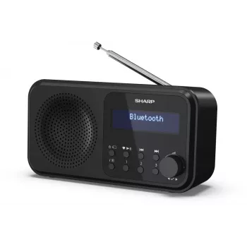Sharp DR-P420(BK) Tokyo nešiojamasis skaitmeninis radijas, DAB, DAB+, FM, 2 W, AAC