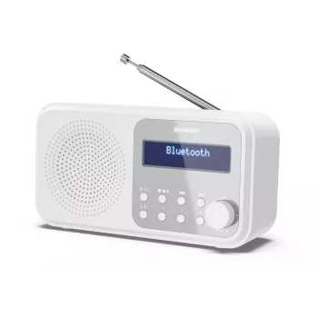 Nešiojamas skaitmeninis radijas Sharp DR-P420(WH) Tokyo, DAB/DAB+/FM, 2 W, AAC