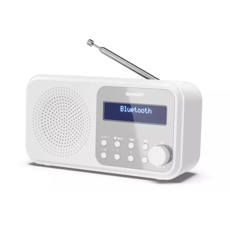Nešiojamas skaitmeninis radijas Sharp DR-P420(WH) Tokyo, DAB/DAB+/FM, 2 W, AAC