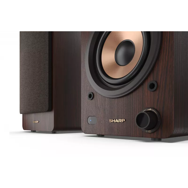 Sharp CP-SS30BR knygų lentynos garsiakalbiai 2 krypčių rudi, laidiniai ir belaidžiai, 60 W