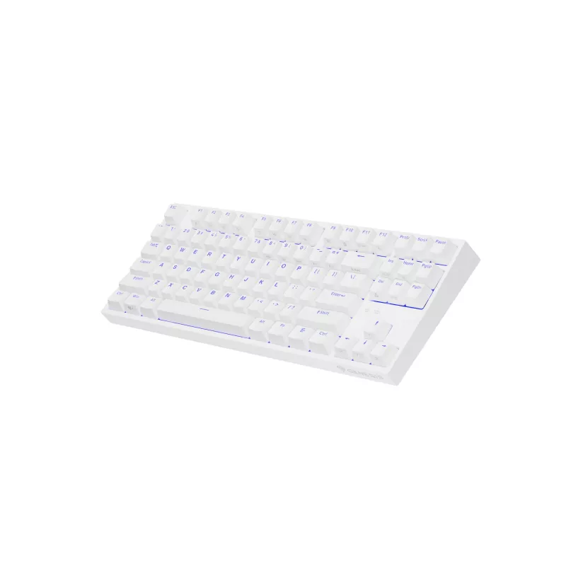 GENESIS Thor 404 TKL klaviatūra žaidimams USB QWERTY US International balta