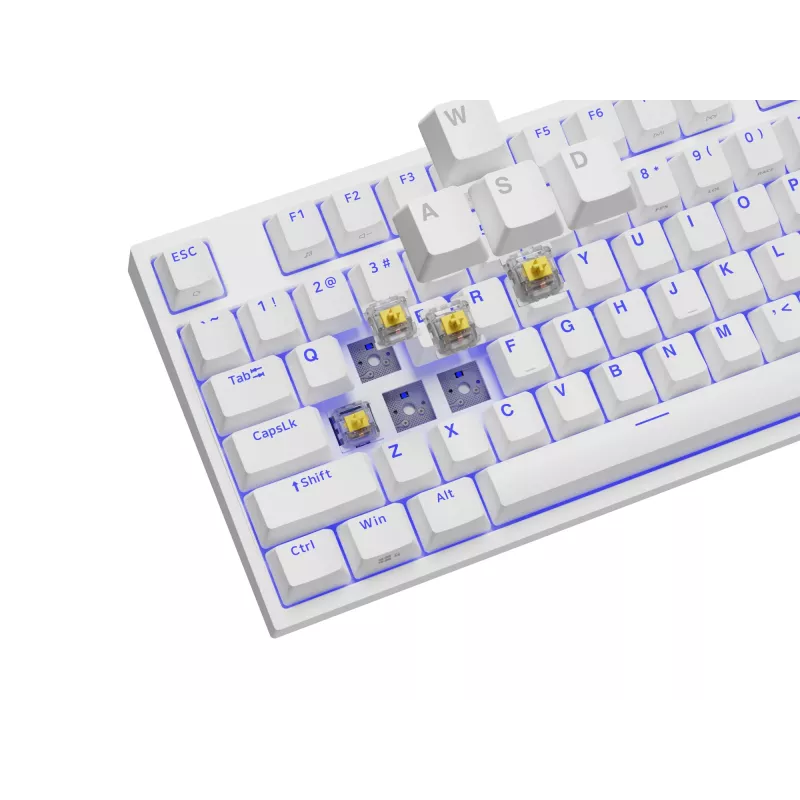 GENESIS Thor 404 TKL klaviatūra žaidimams USB QWERTY US International balta