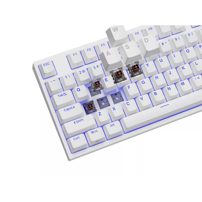 GENESIS Thor 404 TKL klaviatūra žaidimams USB QWERTY US International balta