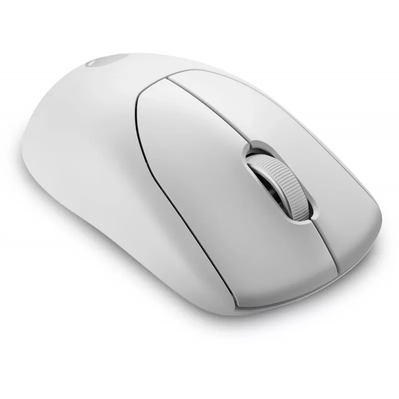 Alienware Pro Wireless Gaming pelė ambidekstrinė RF Wireless + USB Type-C optinė 26000 DPI