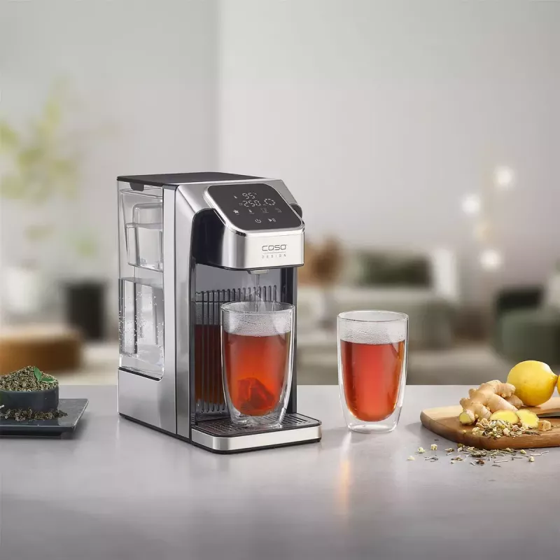 Elektrinis virdulys Caso 2,7 l 2600 W juodas/nerūdijantis plienas