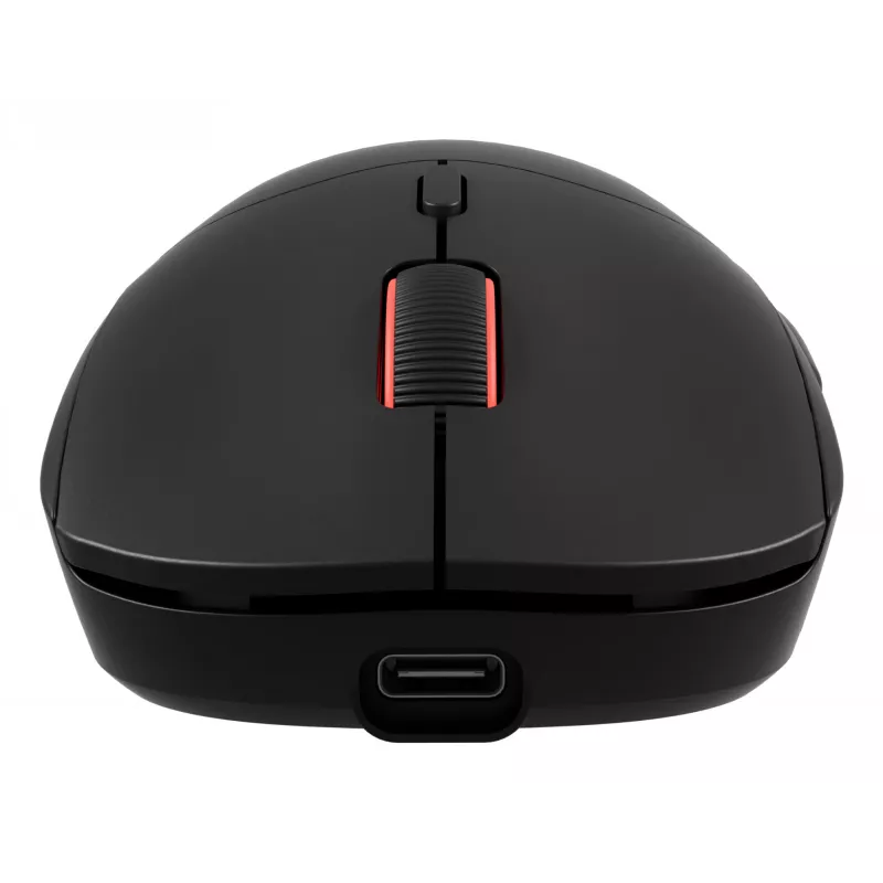 GENESIS Zircon XIII pelė žaidimams Ambidextrinė RF belaidė + USB Type-C optinė 26000 DPI