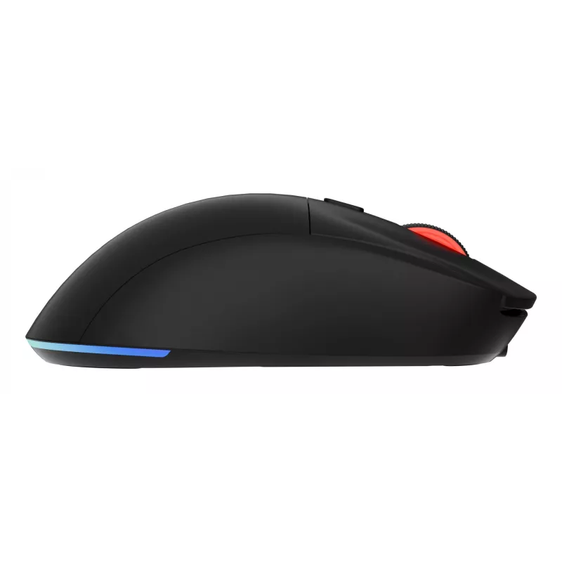 GENESIS Zircon XIII pelė žaidimams Ambidextrinė RF belaidė + USB Type-C optinė 26000 DPI