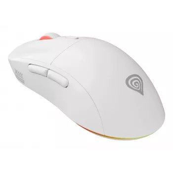GENESIS Zircon XIII pelė žaidimams Ambidextrinė RF Belaidė + USB Type-C Optinė 26000 DPI