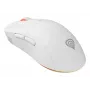 GENESIS Zircon XIII pelė žaidimams Ambidextrinė RF Belaidė + USB Type-C Optinė 26000 DPI