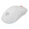 GENESIS Zircon XIII pelė žaidimams Ambidextrinė RF Belaidė + USB Type-C Optinė 26000 DPI