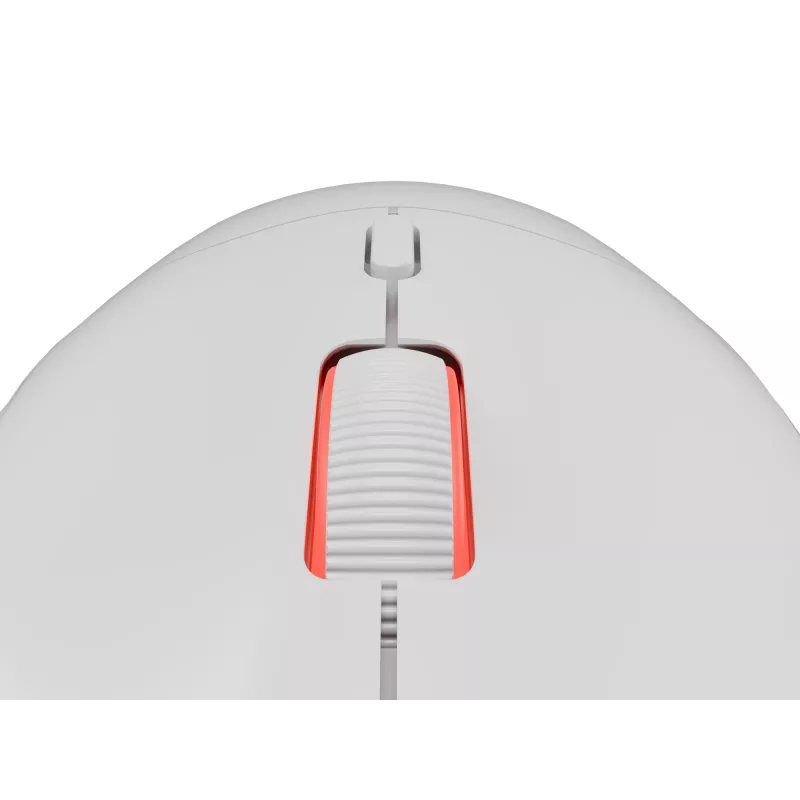 GENESIS Zircon XIII pelė žaidimams Ambidextrinė RF Belaidė + USB Type-C Optinė 26000 DPI