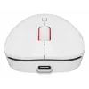 GENESIS Zircon XIII pelė žaidimams Ambidextrinė RF Belaidė + USB Type-C Optinė 26000 DPI