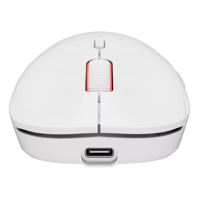 GENESIS Zircon XIII pelė žaidimams Ambidextrinė RF Belaidė + USB Type-C Optinė 26000 DPI