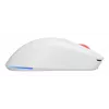 GENESIS Zircon XIII pelė žaidimams Ambidextrinė RF Belaidė + USB Type-C Optinė 26000 DPI