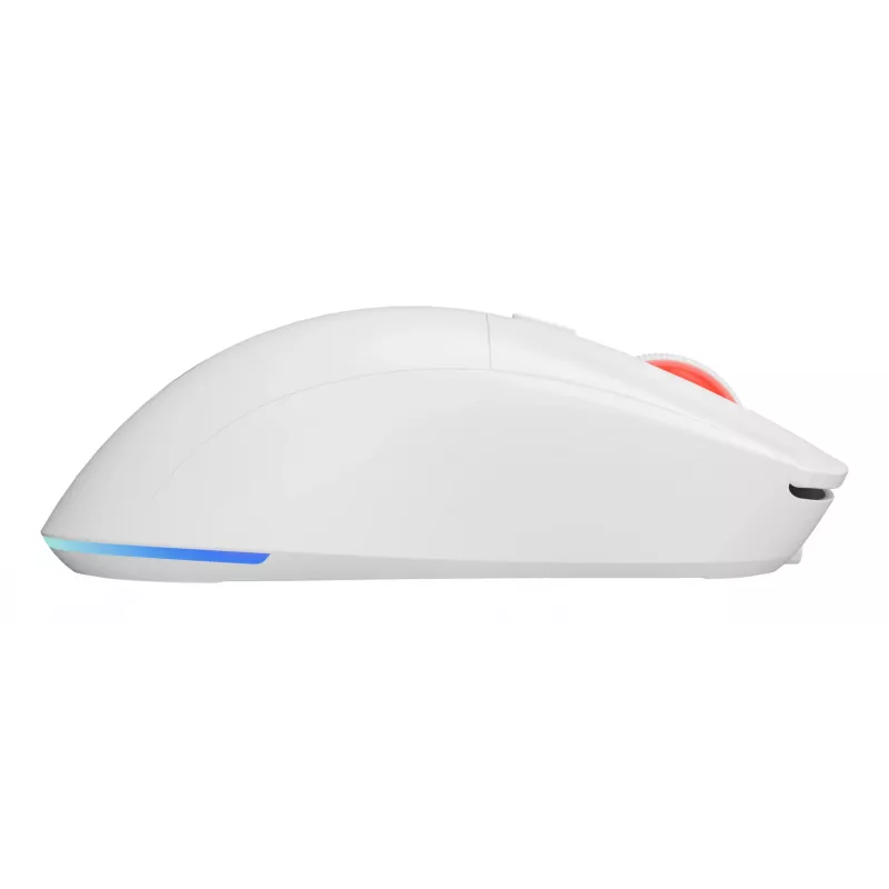 GENESIS Zircon XIII pelė žaidimams Ambidextrinė RF Belaidė + USB Type-C Optinė 26000 DPI