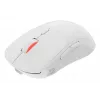 GENESIS Zircon XIII pelė žaidimams Ambidextrinė RF Belaidė + USB Type-C Optinė 26000 DPI