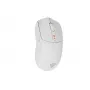 GENESIS Zircon 500 pelė žaidimams Dešinei rankai Belaidis RF + Bluetooth + USB Type-C Optinė 10000 DPI