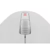 GENESIS Zircon 500 pelė žaidimams Dešinei rankai Belaidis RF + Bluetooth + USB Type-C Optinė 10000 DPI