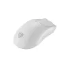 GENESIS Zircon 500 pelė žaidimams Dešinei rankai Belaidis RF + Bluetooth + USB Type-C Optinė 10000 DPI