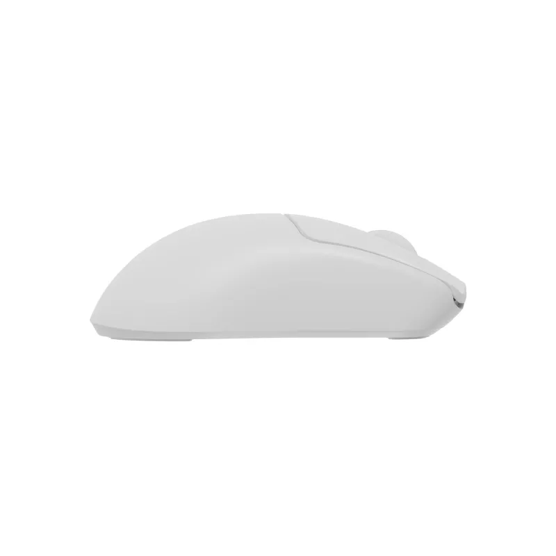 GENESIS Zircon 500 pelė žaidimams Dešinei rankai Belaidis RF + Bluetooth + USB Type-C Optinė 10000 DPI