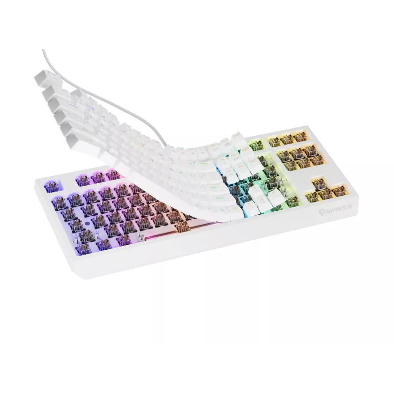 Genesis Thor 230 TKL laidinė mechaninė žaidimų klaviatūra, US, balta, Outemu Brown