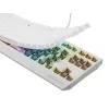 Genesis Thor 230 TKL laidinė mechaninė žaidimų klaviatūra, US, balta, Outemu Brown