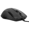 Targus AMU81AMGL pelė biurui Ambidextrinė USB Type-A Optinė 1000 DPI