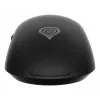 GENESIS Krypton 660 pelė žaidimams Dešinei rankai USB-A Optinė 12000 DPI