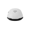 GENESIS Krypton 660 pelė žaidimams Ambidekstrinė USB-A Optinė 12000 DPI