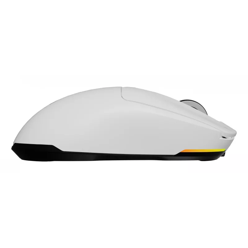 GENESIS Zircon 660 pelė žaidimams Dešiniarankiams RF belaidė + Bluetooth + USB-A optinė 12000 DPI
