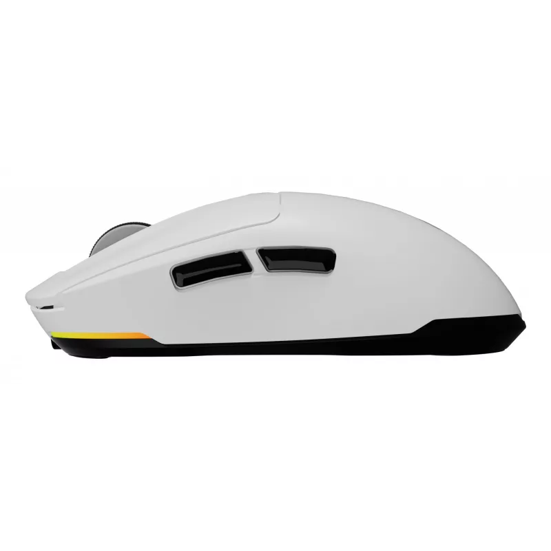GENESIS Zircon 660 pelė žaidimams Dešiniarankiams RF belaidė + Bluetooth + USB-A optinė 12000 DPI