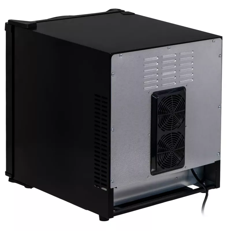 Termoelektrinis aušintuvas Adler AD 8089 28 L – nešiojamas juodas, 65 W, 35 dB, LED lemputė