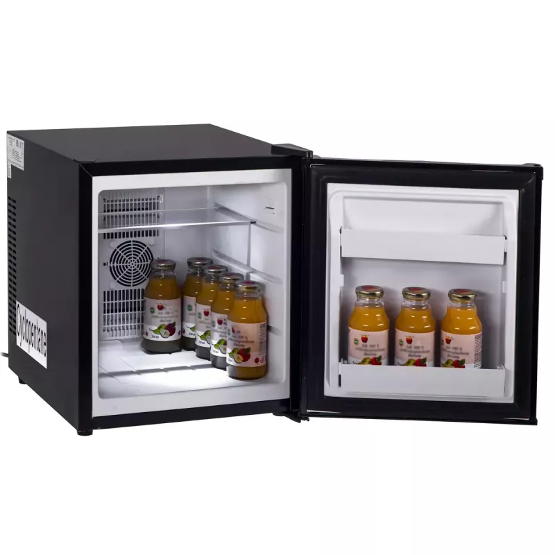 Termoelektrinis aušintuvas Adler AD 8089 28 L – nešiojamas juodas, 65 W, 35 dB, LED lemputė